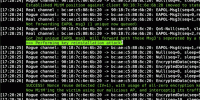 WPA2 Hack Console Output