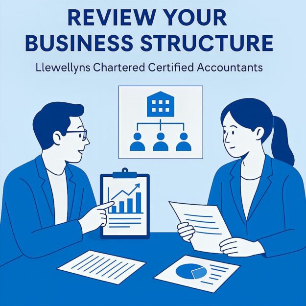 Flat digital illustration in Llewellyns blue showing two business owners reviewing charts, documents, and company structures, representing a UK business structure review.